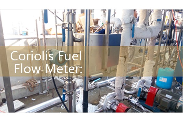 Coriolis Fuel Flow Meter: High Precision Fleet Consumption Tracking Logistics